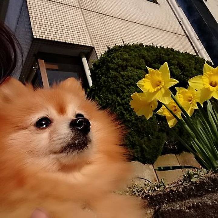 0e448929 3609 4038 b2f1 ef9316eb5390 1521964028996