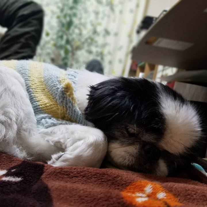 0e44abe4 c69d 4b95 b092 ee76c7d3b4a8 1586083706818