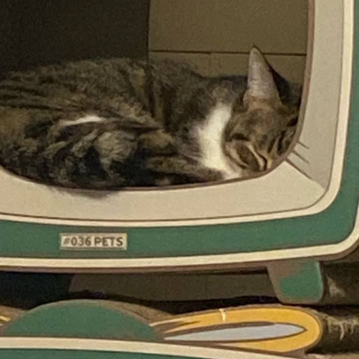 0e44c36d 2af1 4827 ae32 b8bb24299380 1633261525954