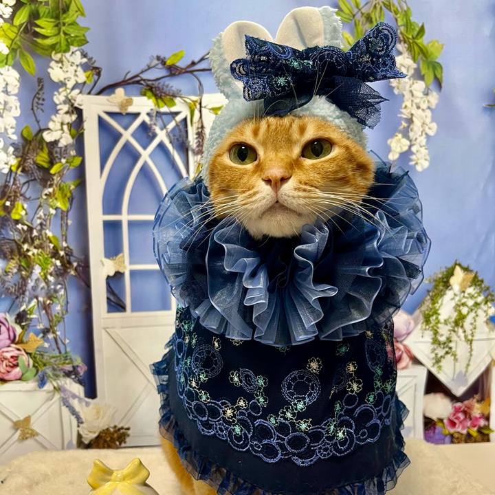 0e44dc66 8174 4d6c a46a 6b513b5b8d9b 1709677833527