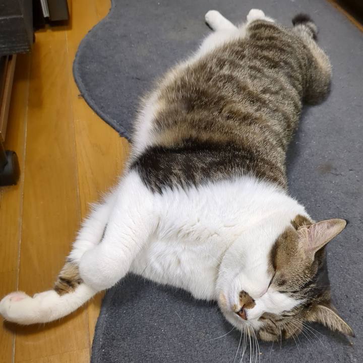 0e450108 1766 4d62 86f0 03f560023eda 1697374020931