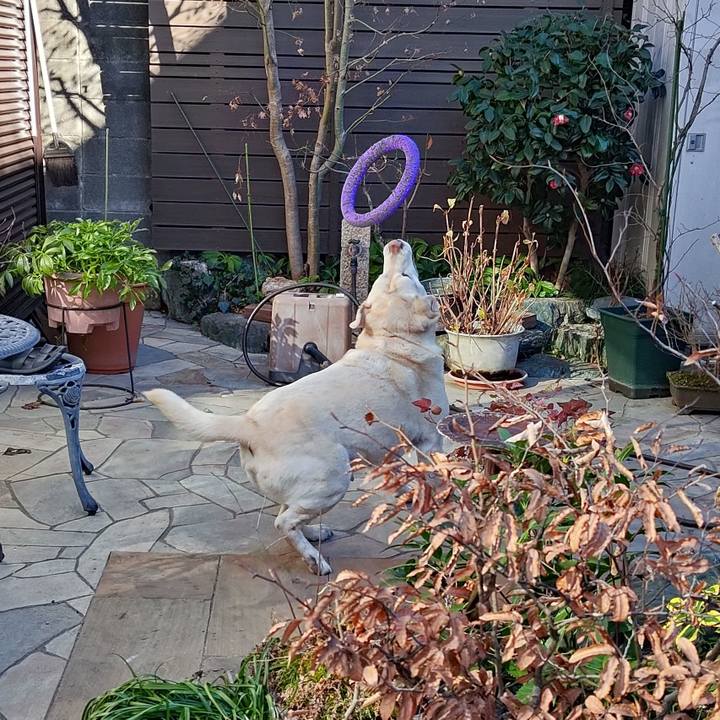 0e451077 3afb 44b0 a176 8e7fefdcfb6a 1769053885795