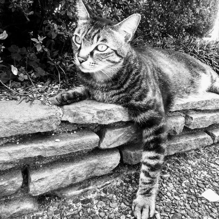 0e4525e0 cd7f 4ee0 849f e386673b34a6 1527843006520