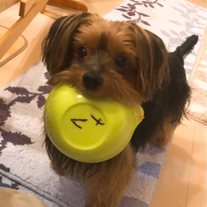 0e454062 3292 406b 8cbd aadfa1a92922 1535842479510