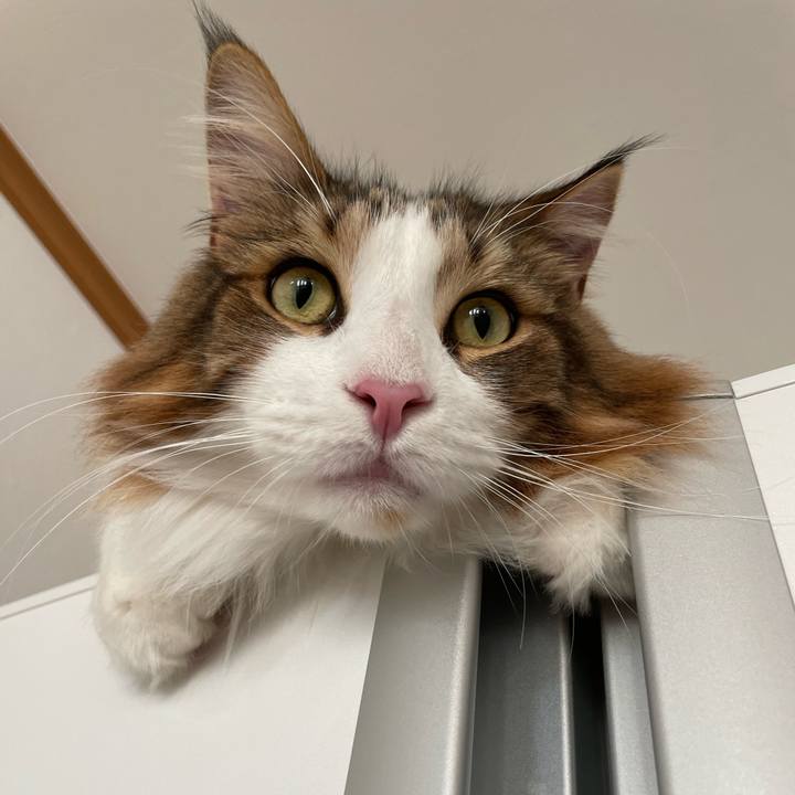 0e4540a1 5837 4ff6 b4d9 ea0bef768ab3 1662415276187