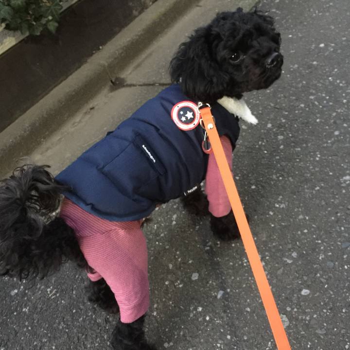 0e454b1c 4297 482d 8742 d87f6e32151c 1515547423763