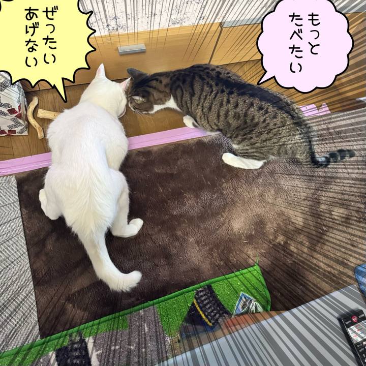 0e45a5dc 3f1e 4a9c b221 795d70c80645 1764377247267