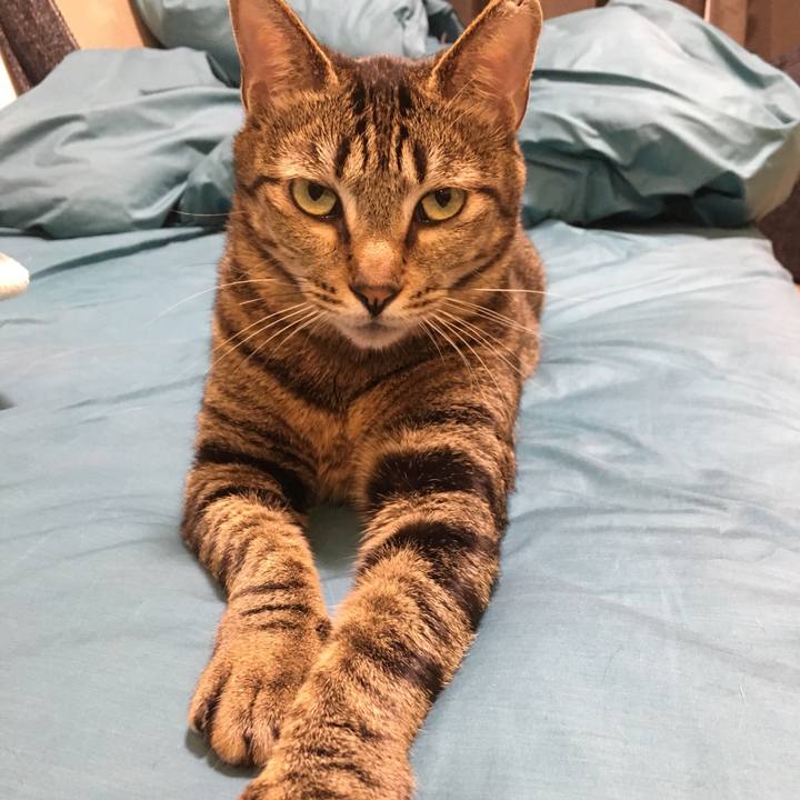 0e462fd7 c496 4b23 8c63 5014fc4491c9 1522842445300