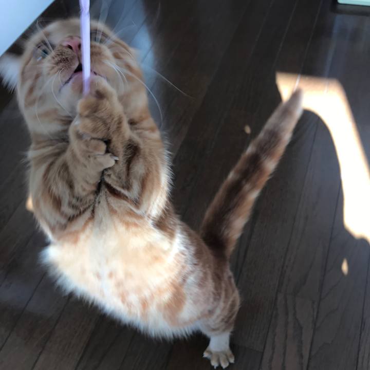 0e4642cb cd93 470a bf62 3a5f3d10170d 1518480752842