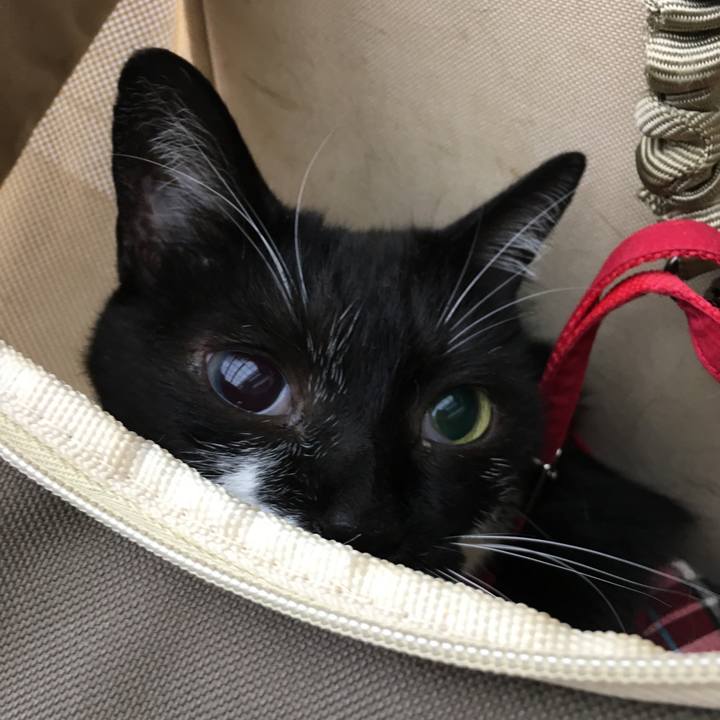 0e4681a9 1bd5 45b3 900c 7b106f502811 1531941134440