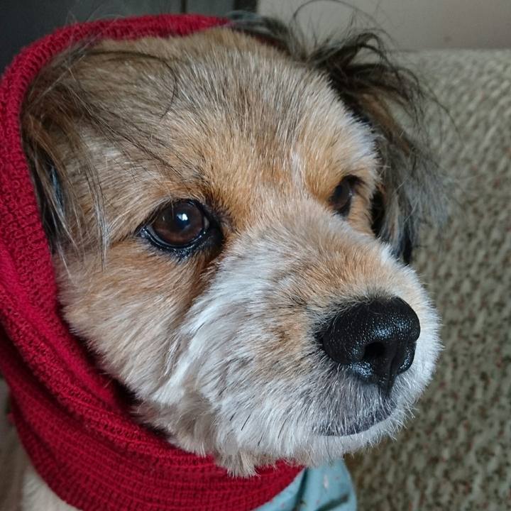 0e468211 07dc 40db bf3a 3380d0a9163e 1534300070186