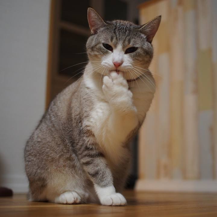 0e468264 7a45 4a4d 956c 8dffeca019bc 1595499588429