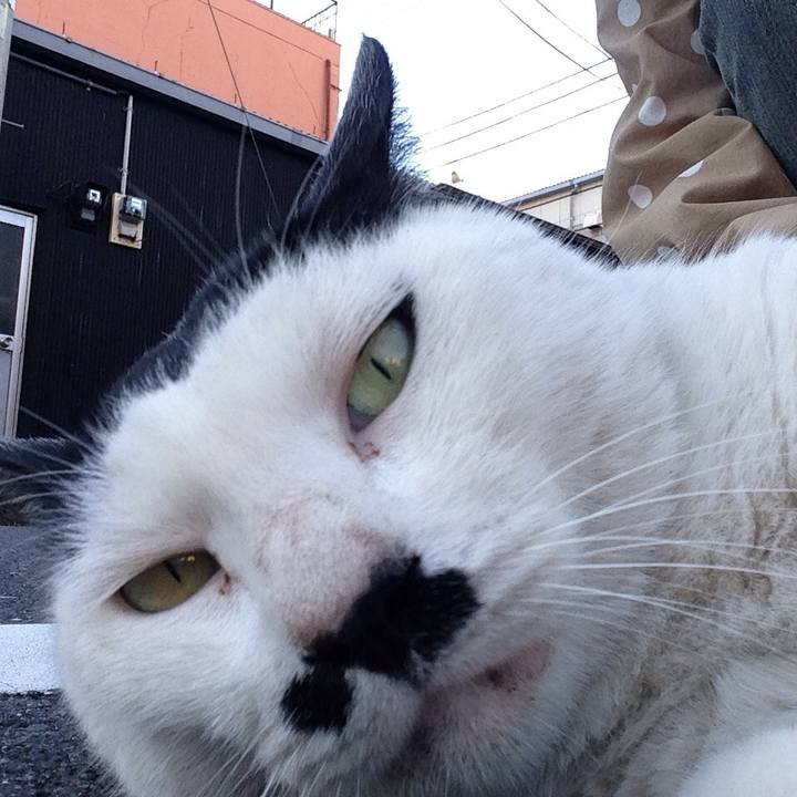 0e46e766 78f3 4428 ad73 180f632ad77f 1509354621703