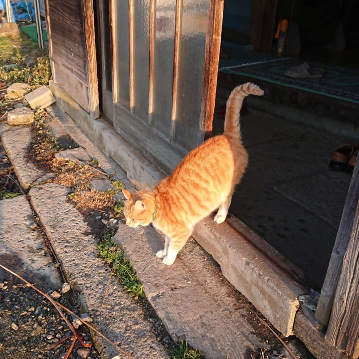 0e4700d8 b43c 4f31 897c d73991fa7223 1585602054105