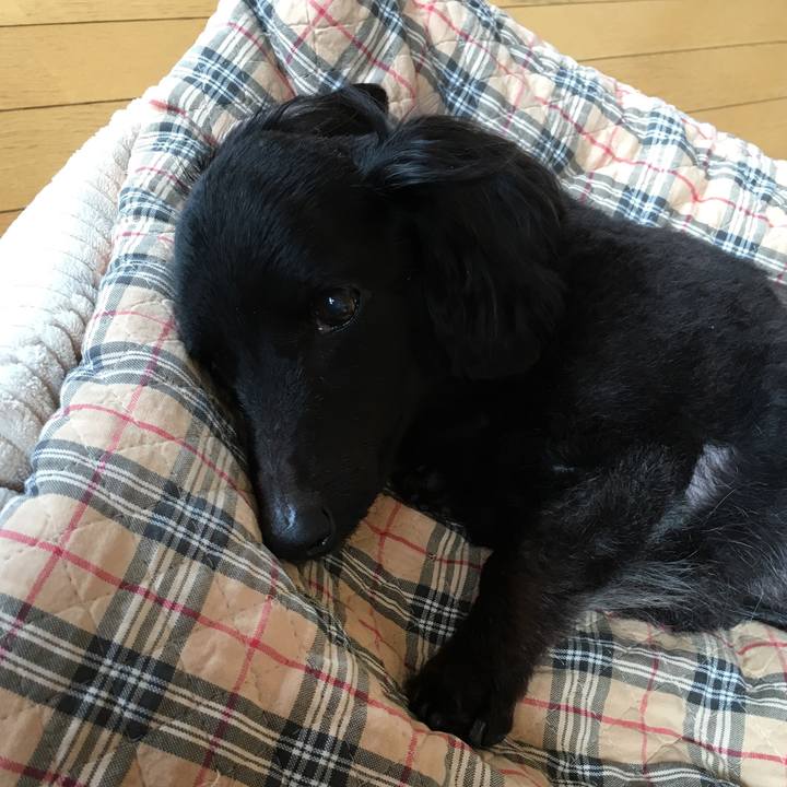 0e47a34a 18e8 4073 af0c ce5d882fb560 1529292201124