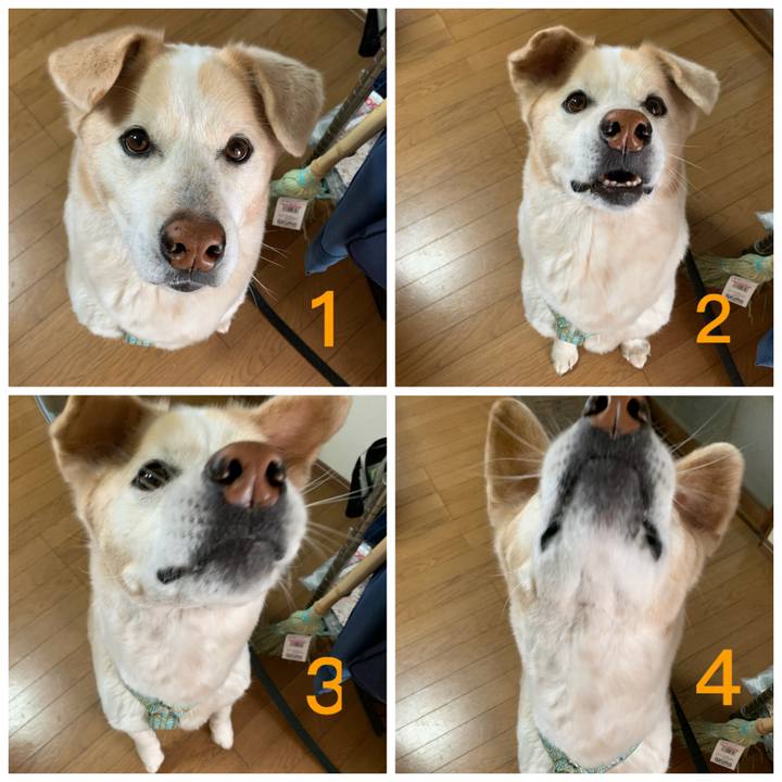 0e47ab73 200f 40a1 8f20 c4157e8ec314 1646435640806