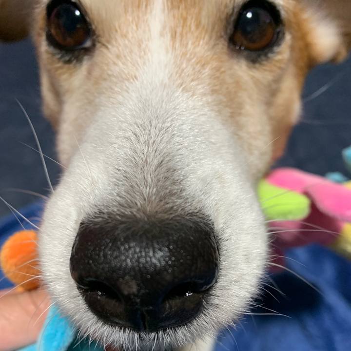 0e47ca6a 692d 463c 9474 5106fcef78a8 1550116407746