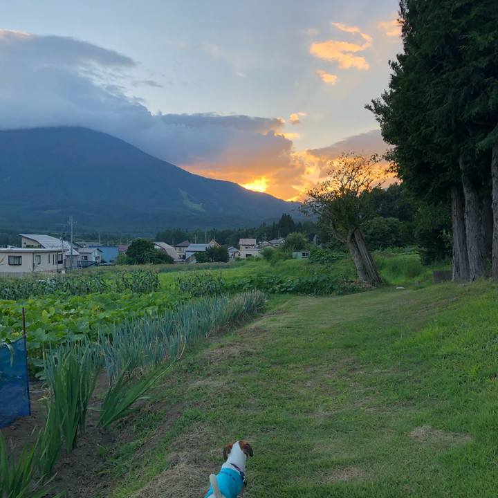 0e47d2cf d663 467f b68e 2a4a37b5880b 1532860500205