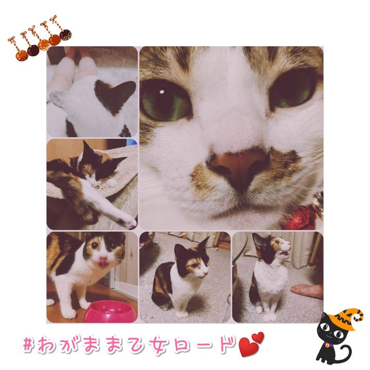 0e47d7a4 146b 4ce0 a8ec c52582c3e68b 1567913079606