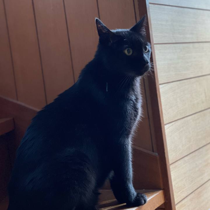 0e481a1d 167d 4cf6 bde1 946464cef930 1662513004842