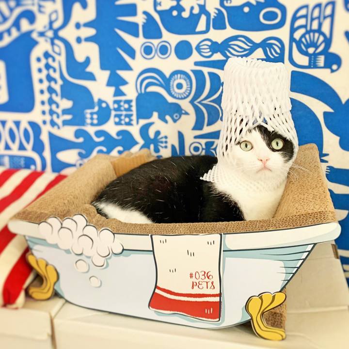 0e48bb7a d363 42c2 add5 6745aaf1ec4c 1567953721747