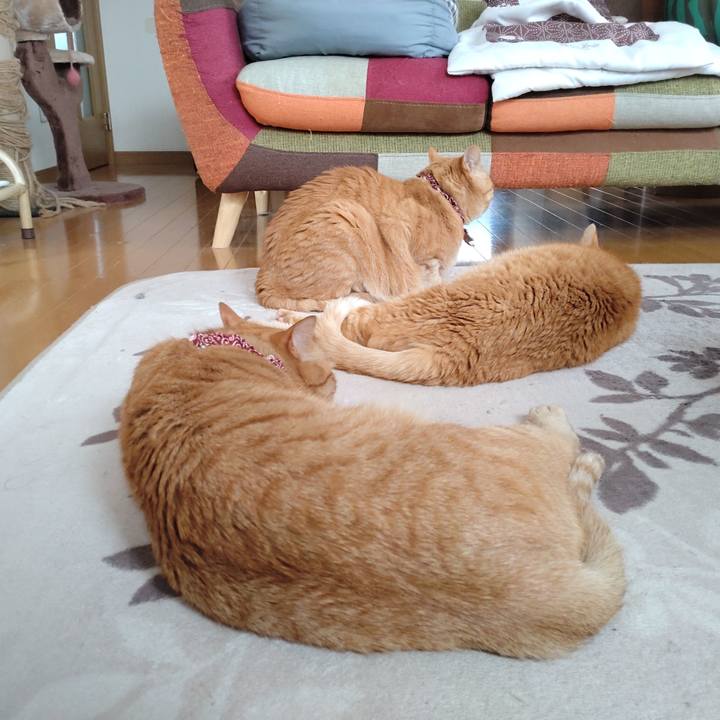 0e48c45b f7f9 48a5 8c44 6fa35df52cf2 1648964108718