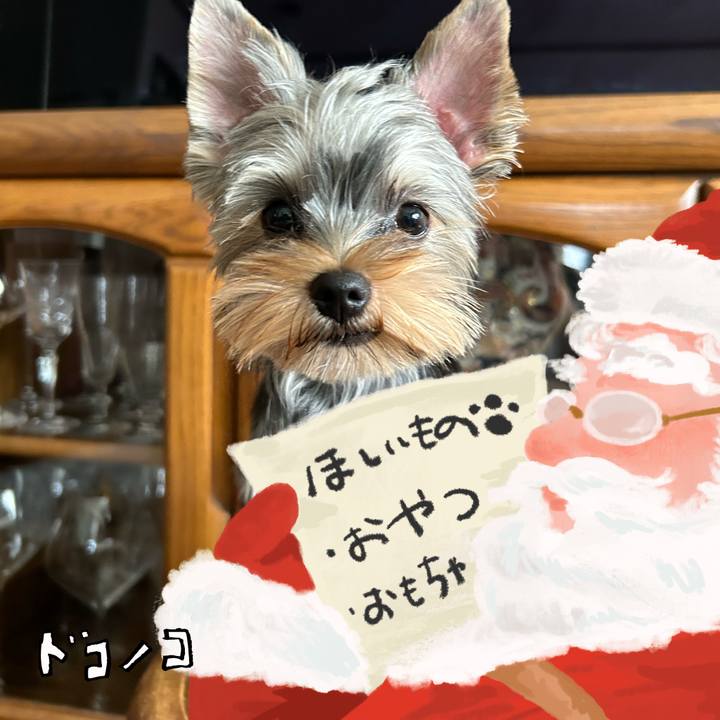 0e48f496 1dd9 4281 ac73 7628730f00b9 1729259670122