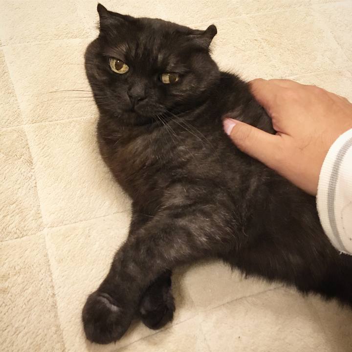 0e48fae1 c9f6 4c39 ab78 ae4ee947d096 1529252444606