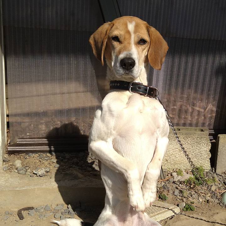 0e491ce7 831b 42e8 8ef0 4a0deb1e9675 1647075501014