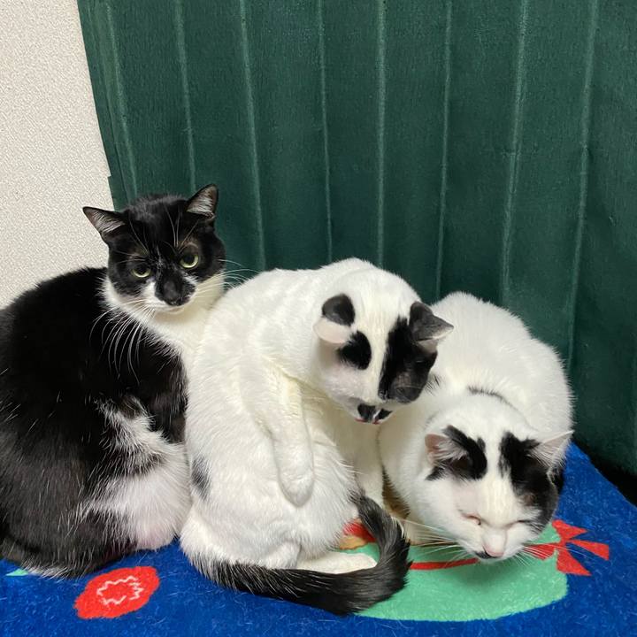 0e494680 089f 43ab b022 5b9d60195356 1641172203139