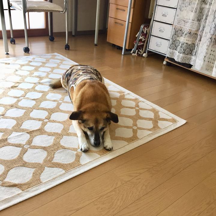 0e495110 e0db 4a8b 91ad 418cfcd61130 1587786817359