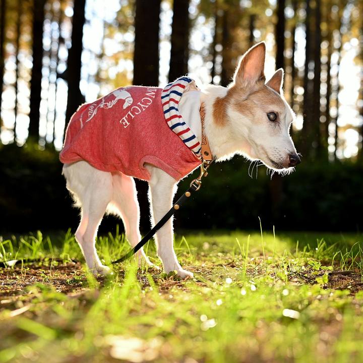 0e495d1e 5796 4e56 8250 c91eda9e2ed7 1763820796562