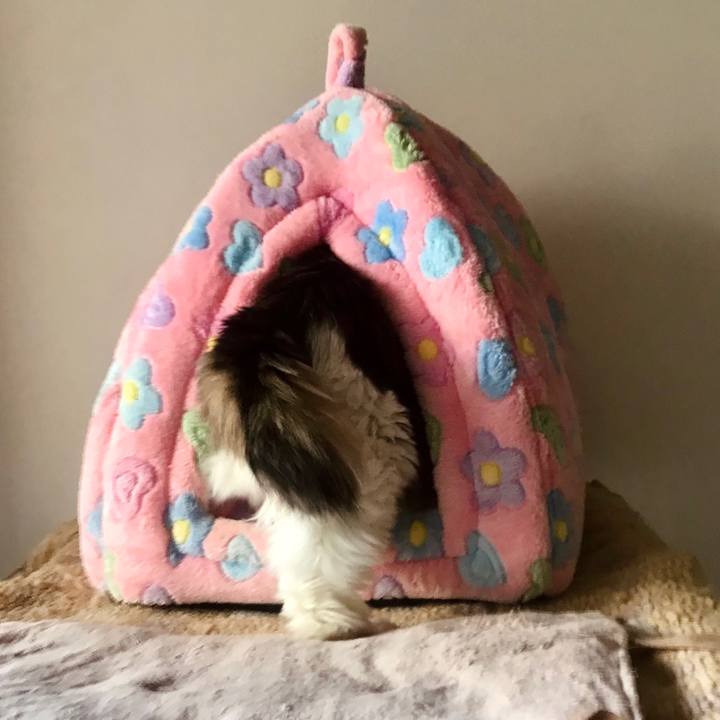 0e496b36 9d9e 43ac 9287 facb3b9277a0 1638540322878