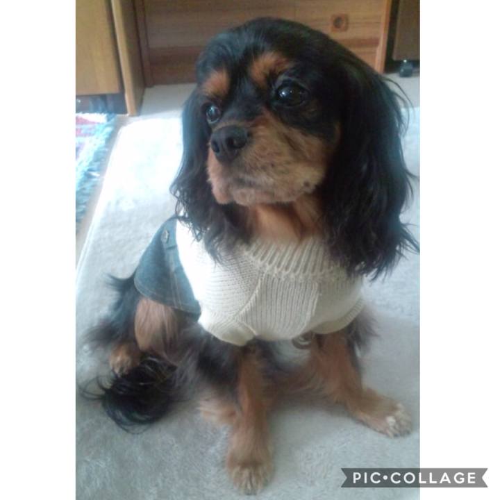 0e497488 deb9 4b41 8af1 931cbb2dcef4 1602418363463