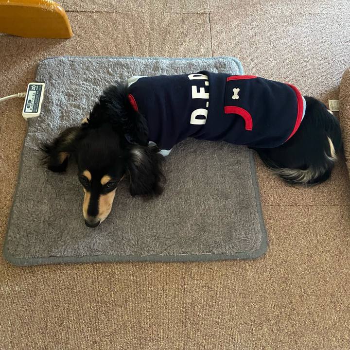 0e49e3b9 7d16 4f0f a69c 0b716d985240 1677484062355