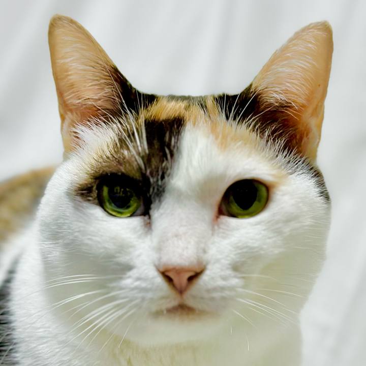 0e49f4d6 06f0 4c97 b0c8 d52053736316 1697510093576