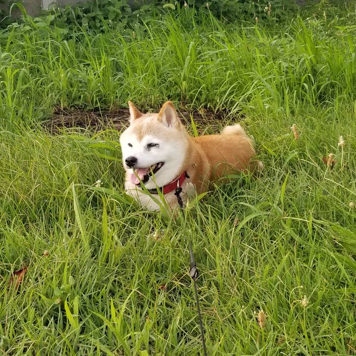 0e49f8c4 3900 45ee a793 7fdfcbf7e470 1721724835413