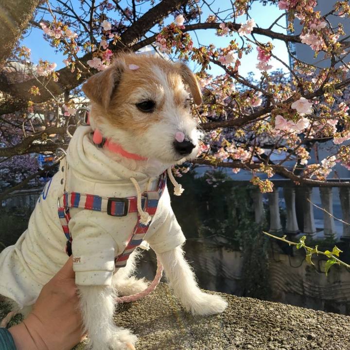 0e4a00f6 ac3d 45a3 b147 00ca2577f24a 1768867295826