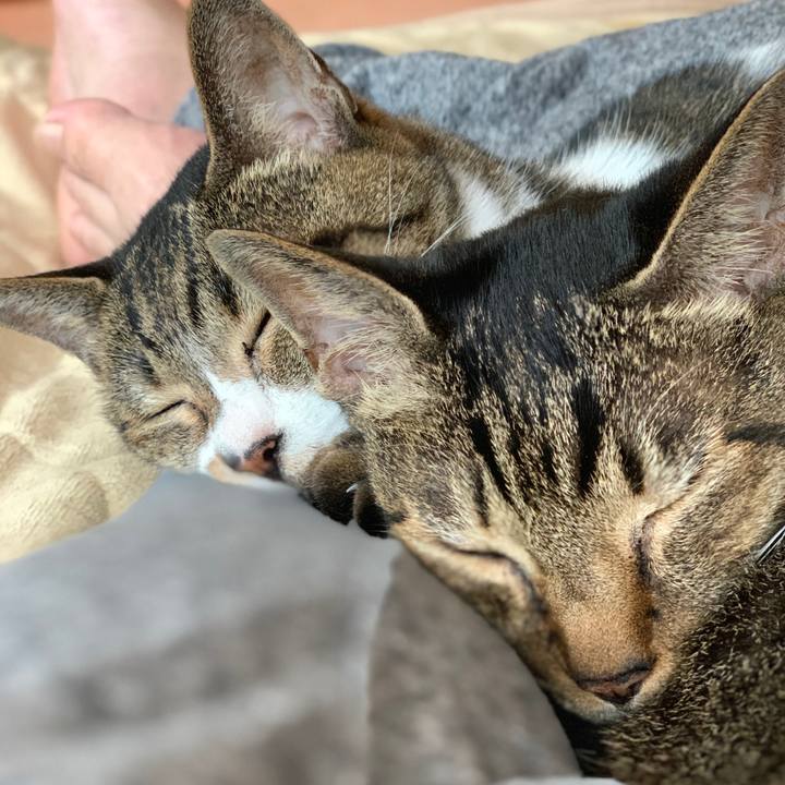 0e4a8937 8d24 4e85 bb2b 9d740dcccbba 1603156824286