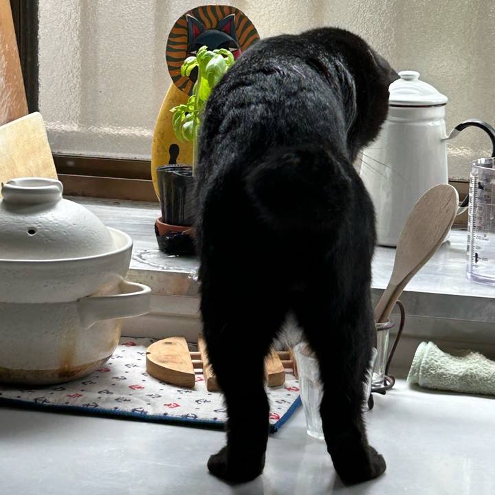 0e4aa878 598e 4cbb 8b9f 5d8af1c3931c 1727052200124