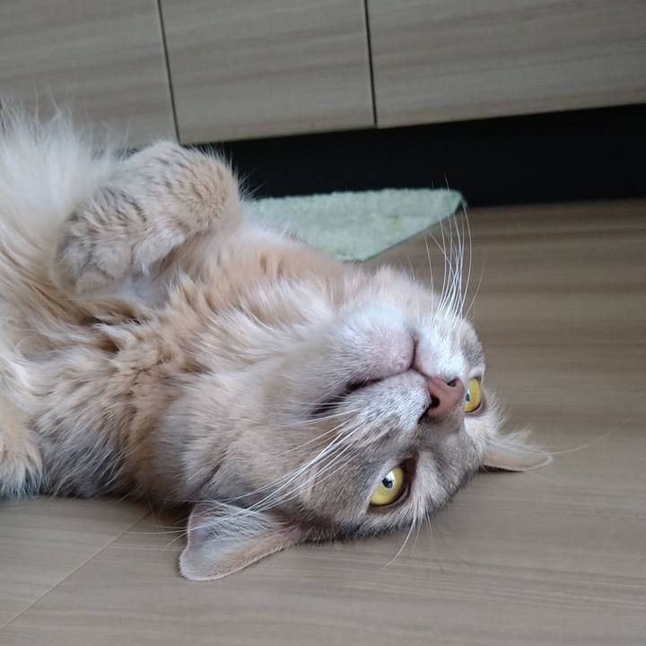 0e4b3863 1ea3 457b a538 5235f5a2bf5f 1627270812406