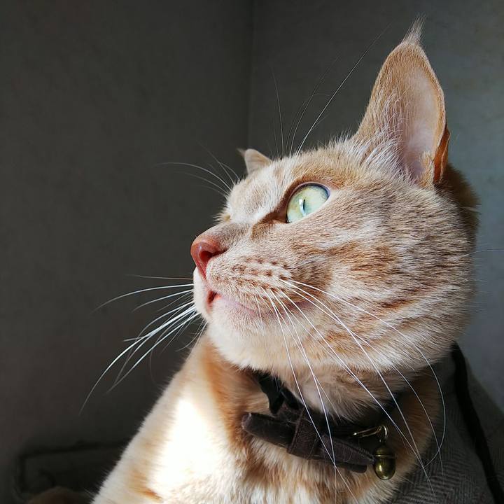 0e4ba544 4ca0 41da 9971 f71f758700bc 1644977525015