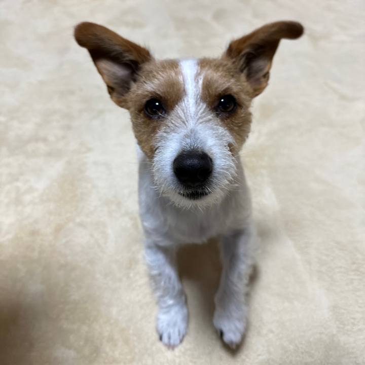 0e4bc564 f190 407a b704 bce813ad7ed8 1769552123469