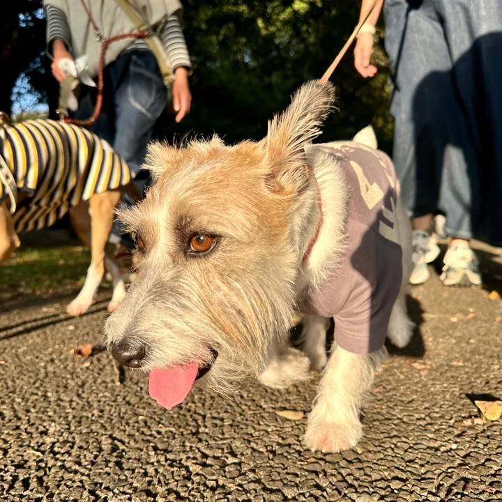 0e4becfb 3248 4c51 ab9a e60860ce6232 1697675707453