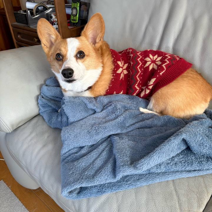 0e4c0ef5 d0c6 4bdc a773 3d8fee2ae47f 1769129354161