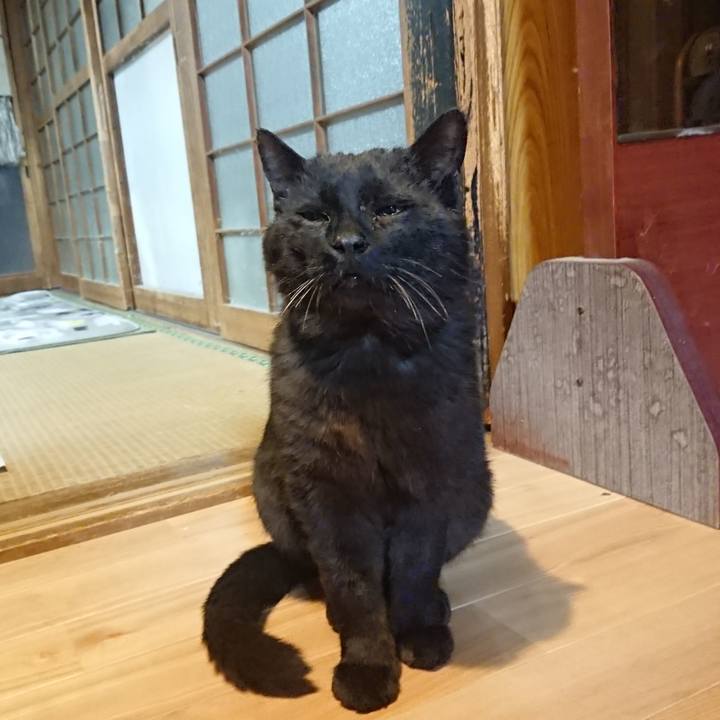 0e4c29f4 0696 49d4 adb3 8767f99aab3f 1620386001145