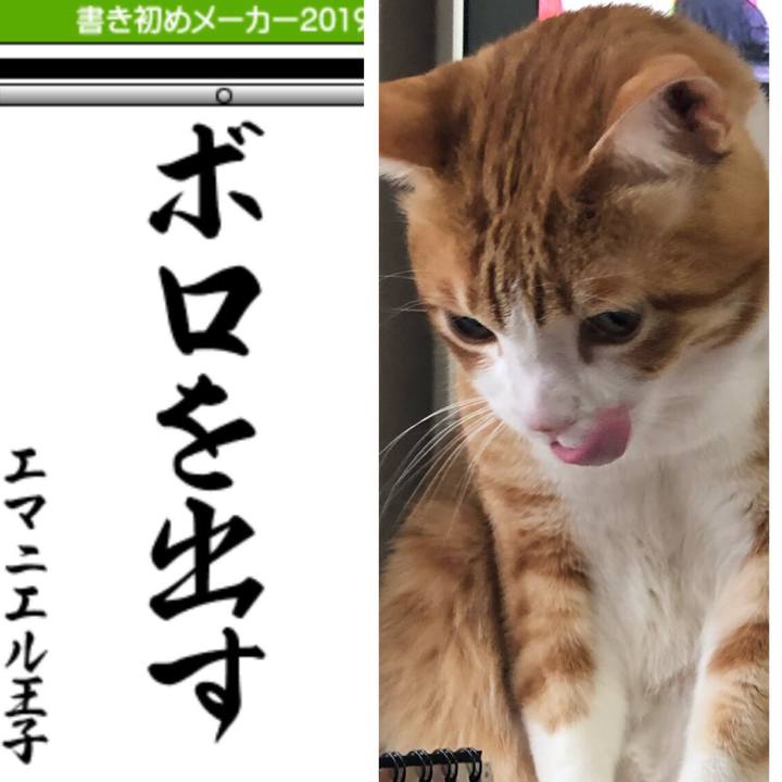 0e4c52e9 e607 4295 96df 56e79203240f 1546517566769