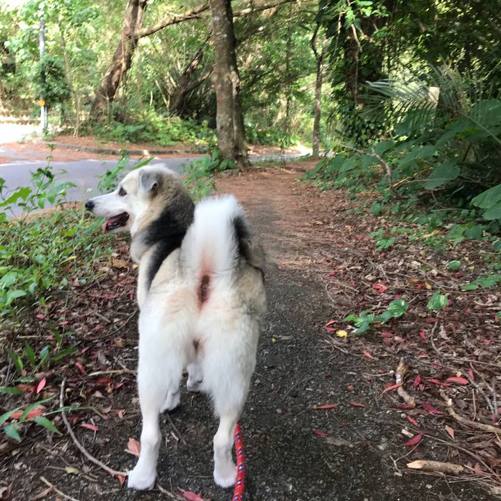 0e4c5c57 a7c4 40f7 9a2f 31ad8f5544b7 1575170082162