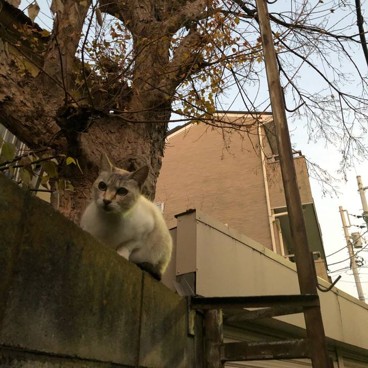 0e4c5d15 21ef 4252 bfa1 1393d7ed6eb6 1580741561256