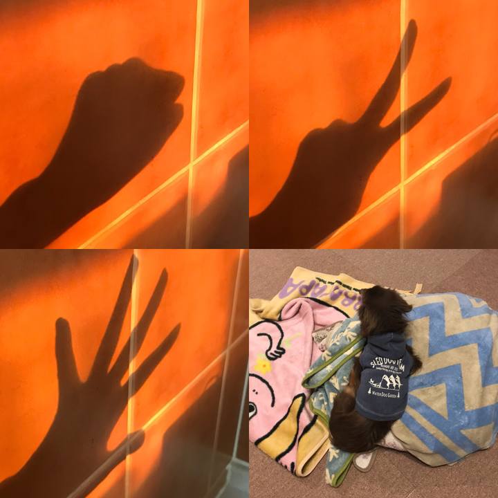 0e4c6a70 4ad7 49fc 9dc2 2ca5432fcfab 1515708112784